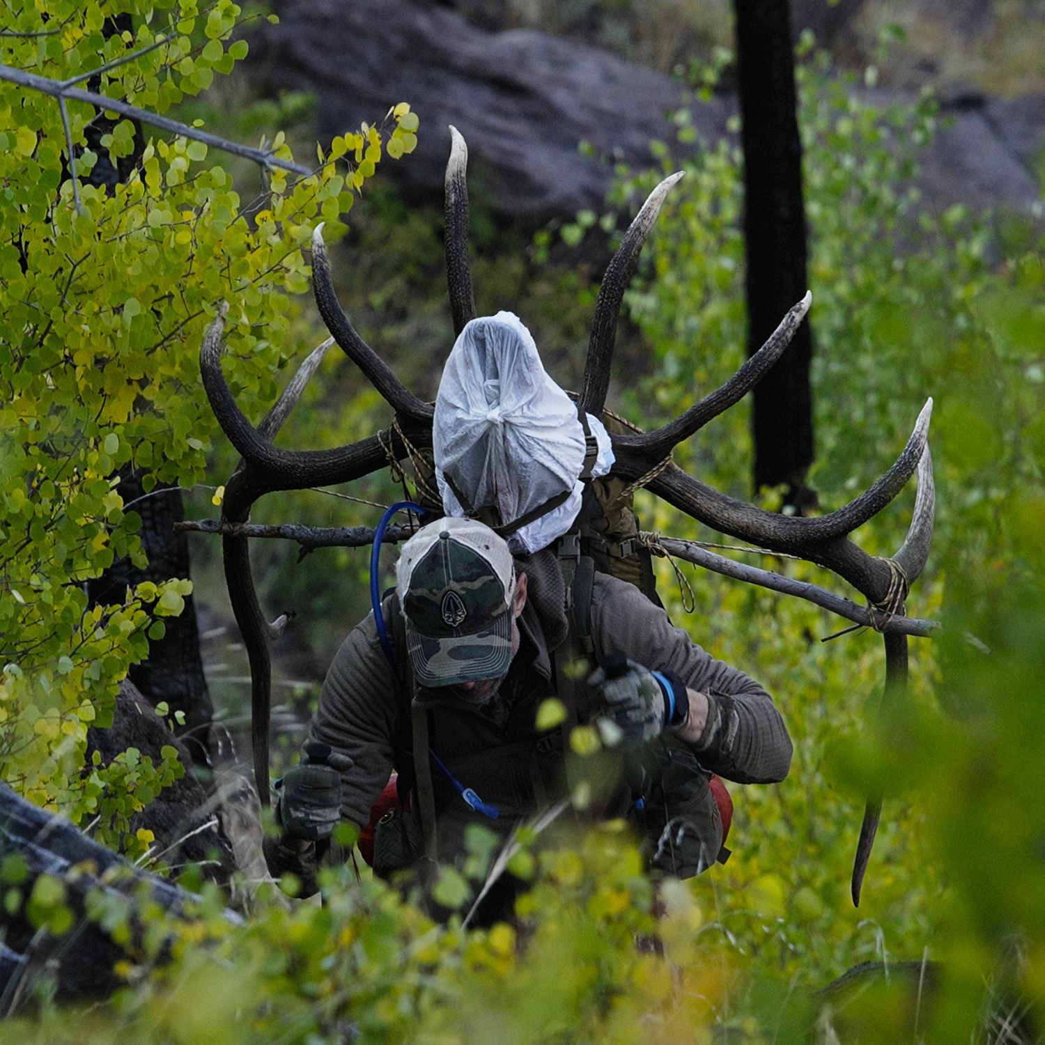 The Endless Pursuit - 2025 Elk Hunting Film with Bill Vanderheyden