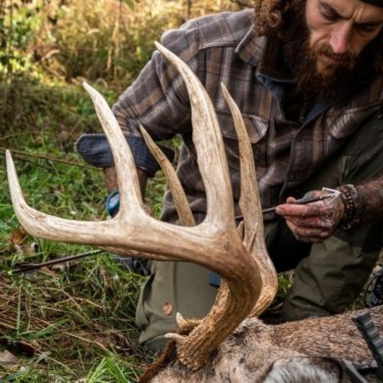 Best Broadheads for Whitetail Deer Iron Will Outfitters