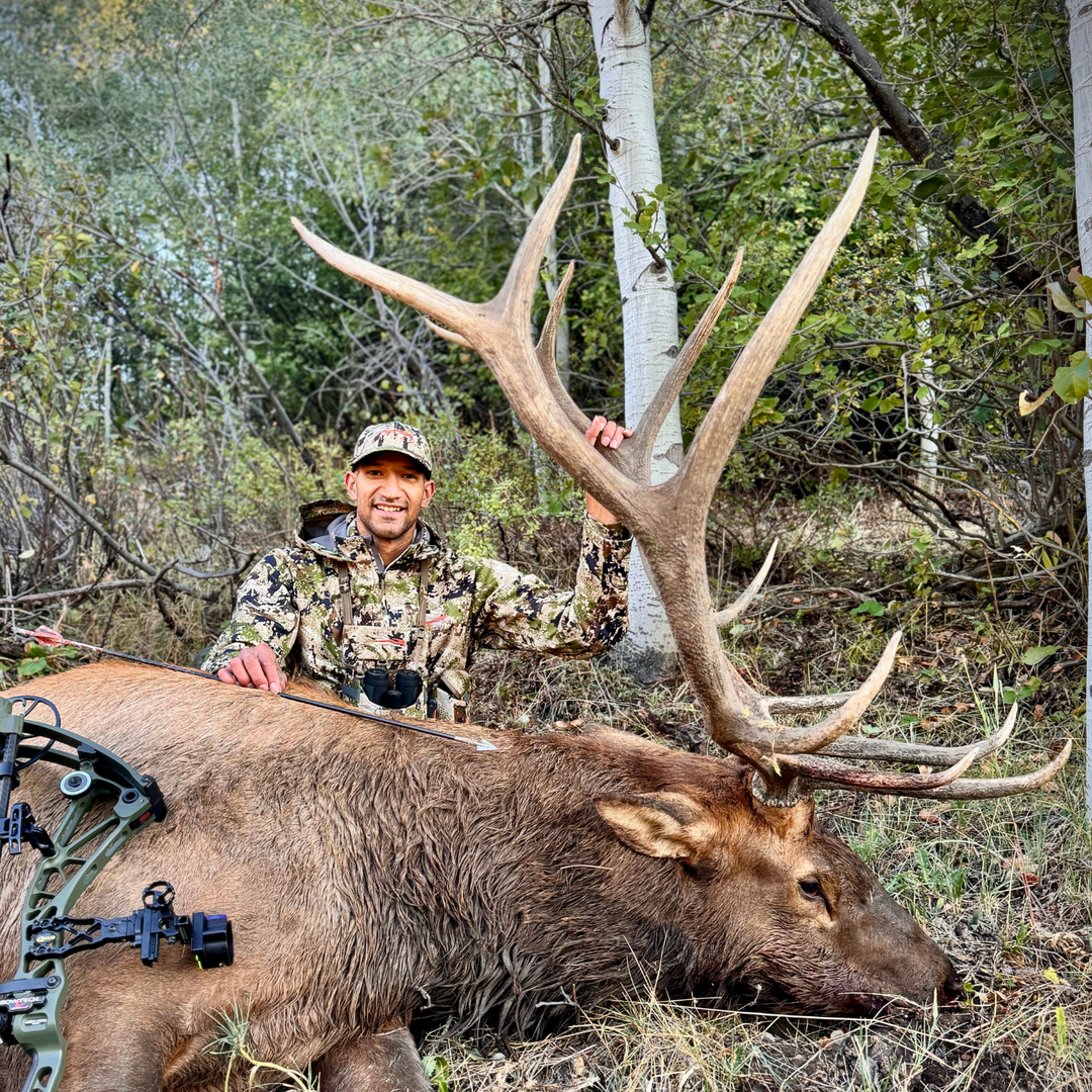 Dom Hardy with Dom Hardy Outdoors Hunting Elk with an Iron Will Single Bevel broadhead.