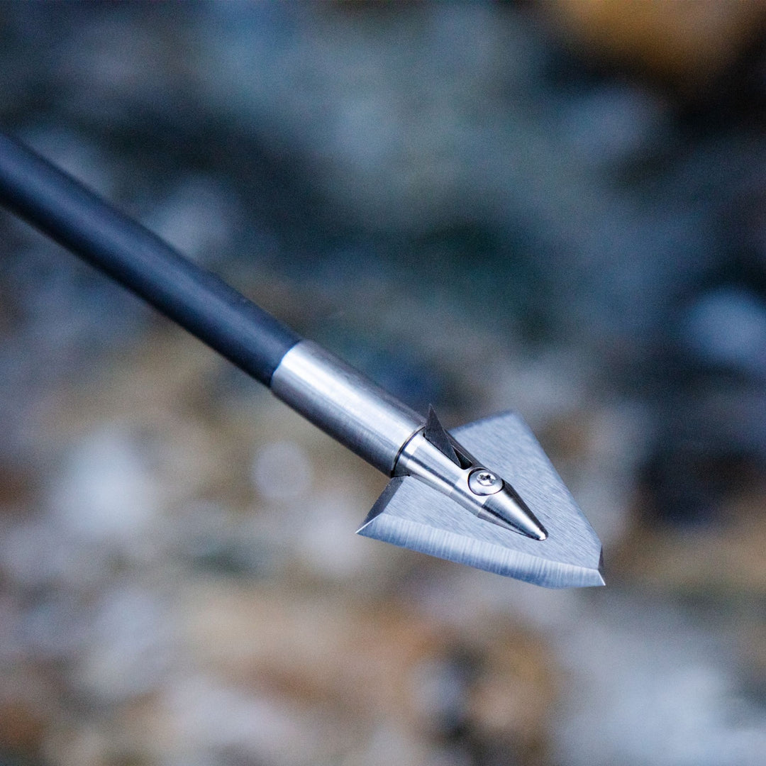 single bevel broadhead on an arrow with an impact collar over the end of the arrow, with a artistically blurred out background.
