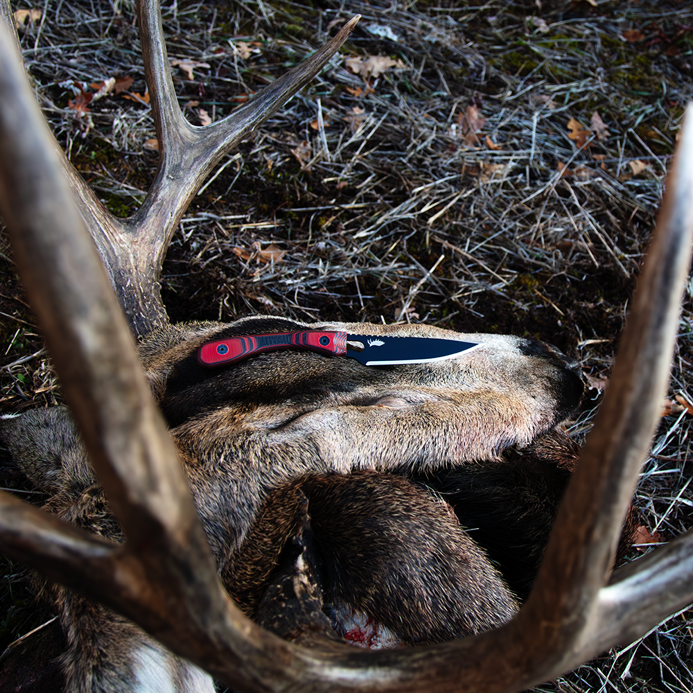 caped out deer head with K4 caping and boning knife on top.
