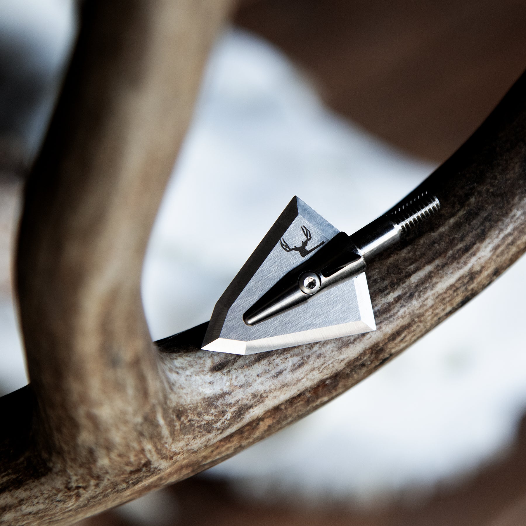Mule Deer Limited Edition S Series Broadheads Iron Will Outfitters