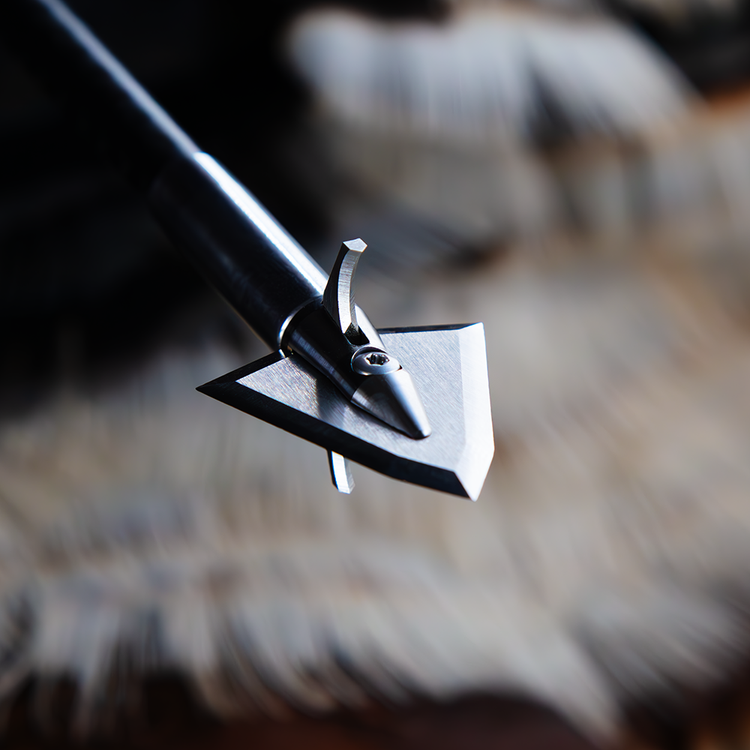 Best turkey hunting broadheads for bow hunters