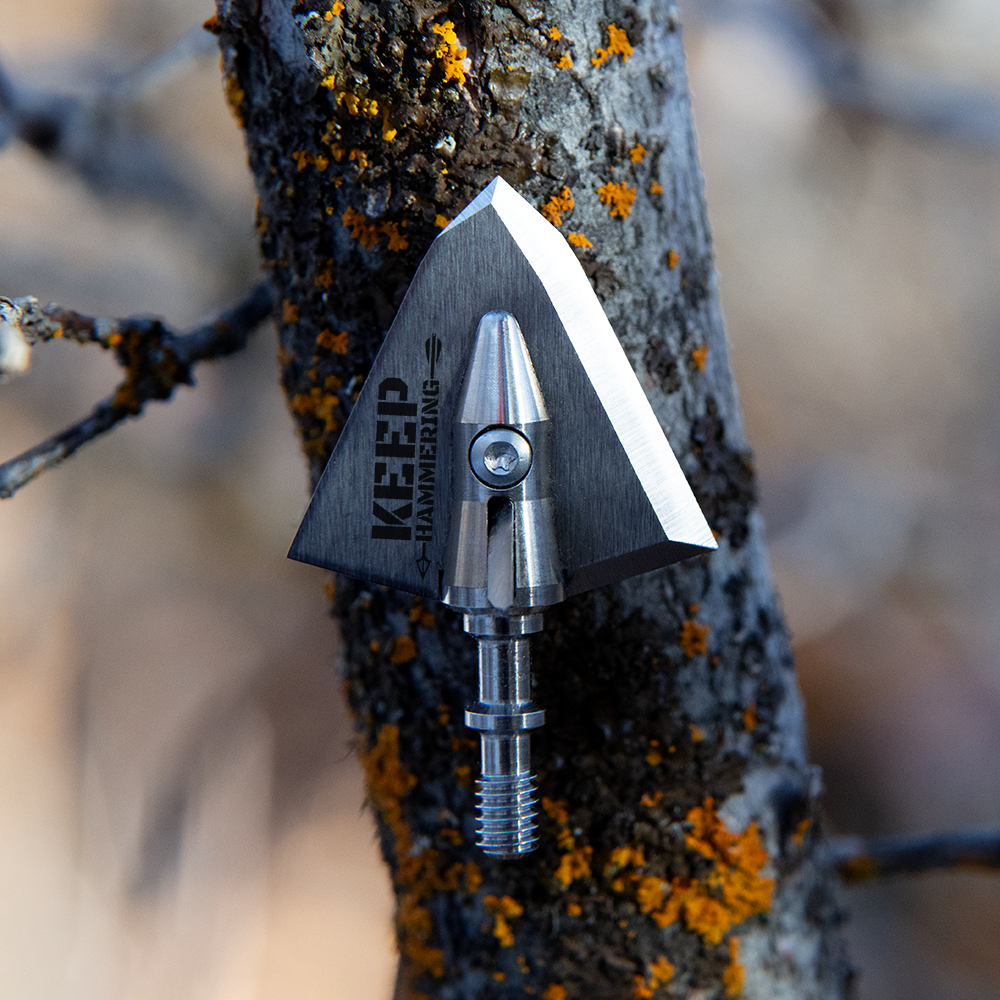 broadhead with keep hammering logo in front of a tree branch