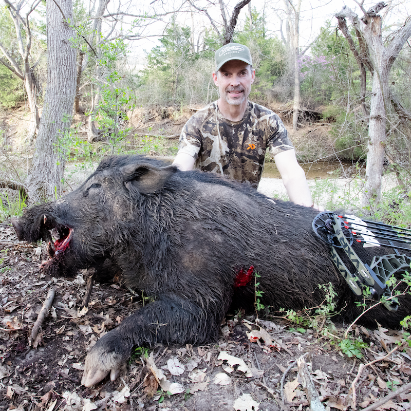 huge trophy pig with big teeth shot while testing broadheads by Bill Vanderheyden