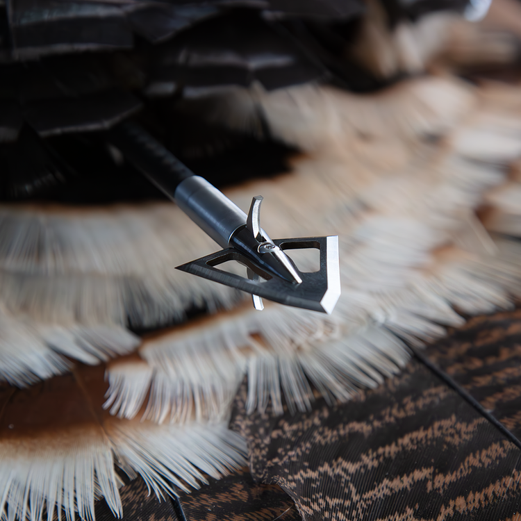 Shop a Variety of Premium Broadheads | Iron Will Outfitters