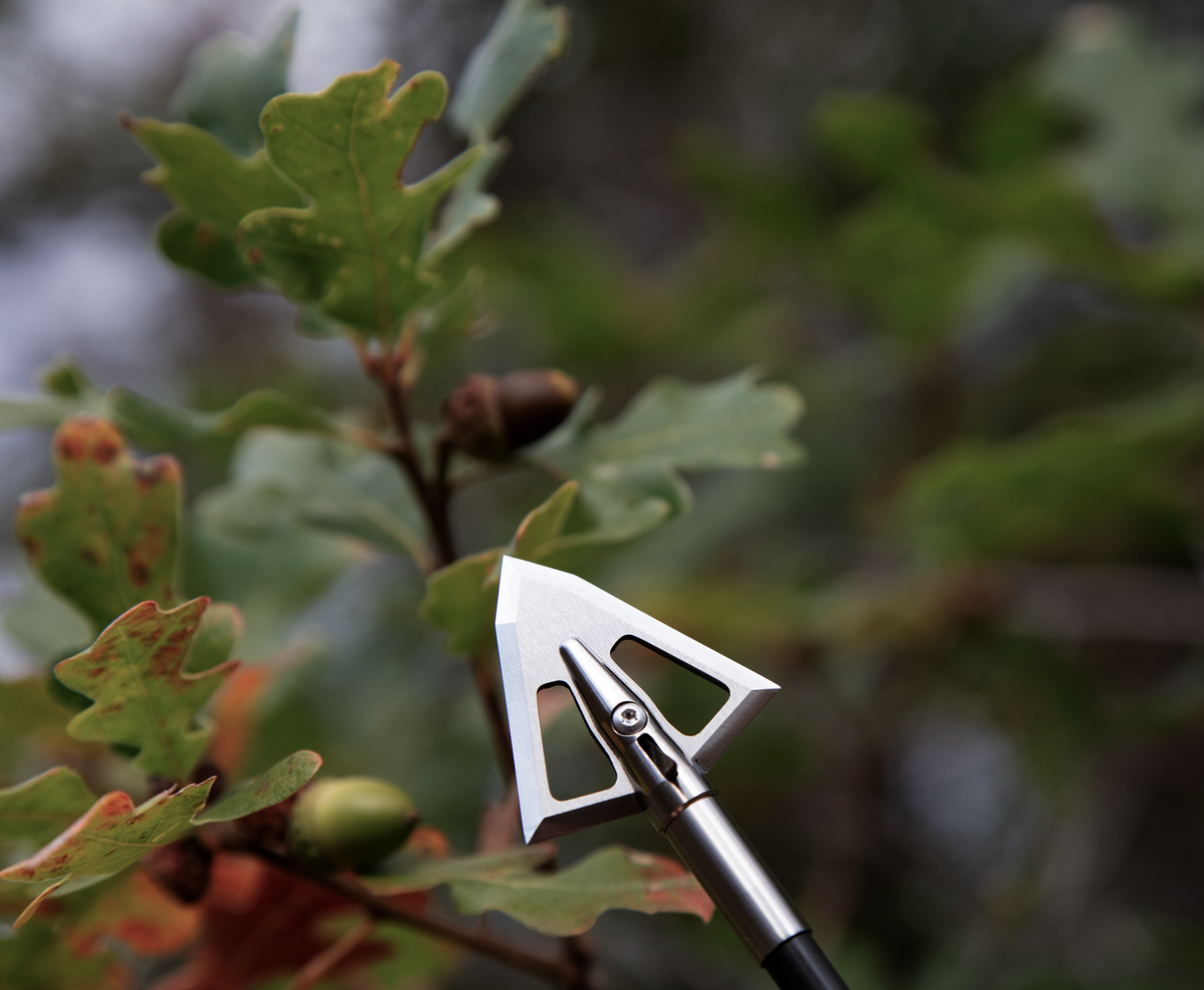 Best Broadheads for Whitetail Deer Iron Will Outfitters