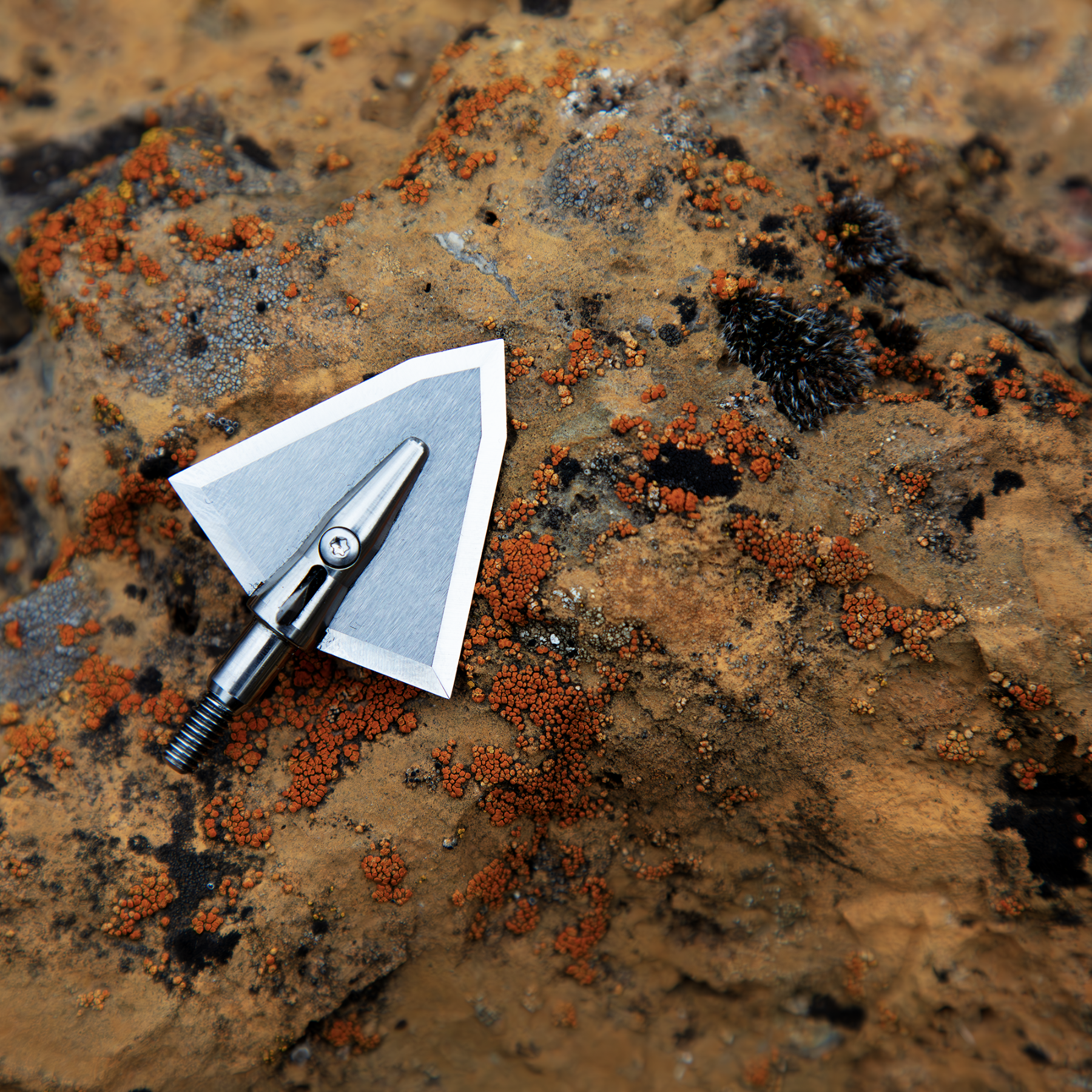 Iron Will Broadheads and Gear Iron Will Outfitters