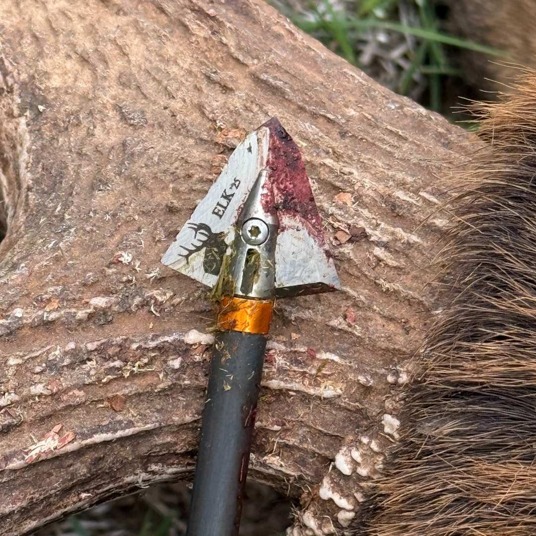custom engraved elk broadhead