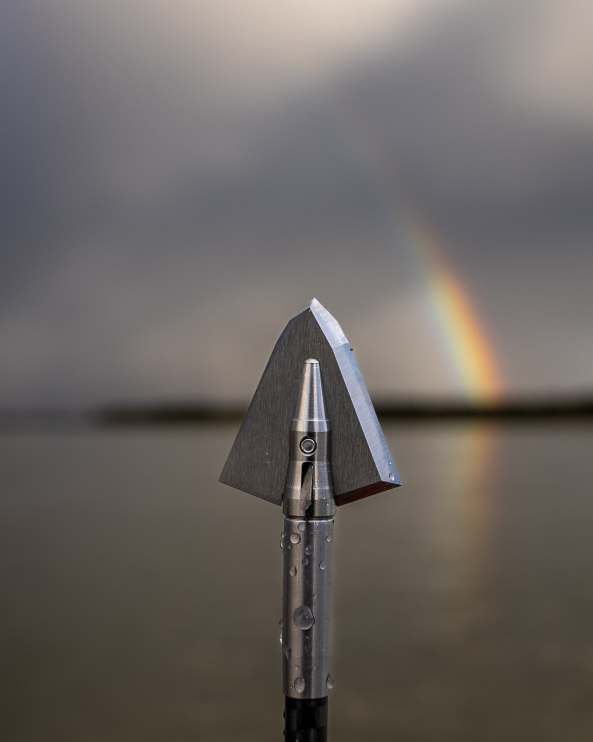 Fixed vs mechanical broadheads - what is best?