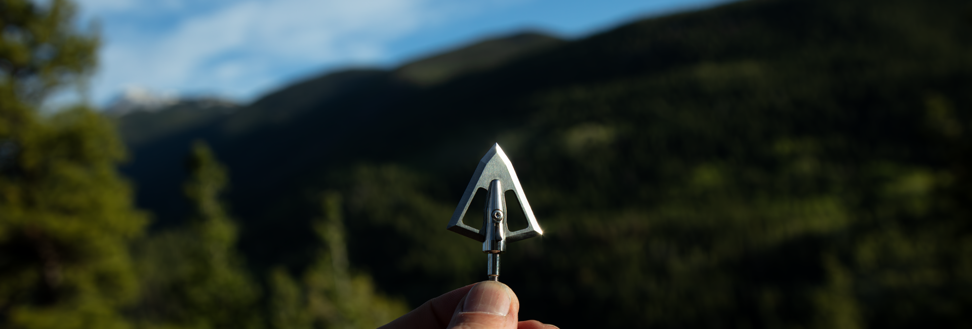 picture of a broadhead in front of a tree and mountain scene with sky