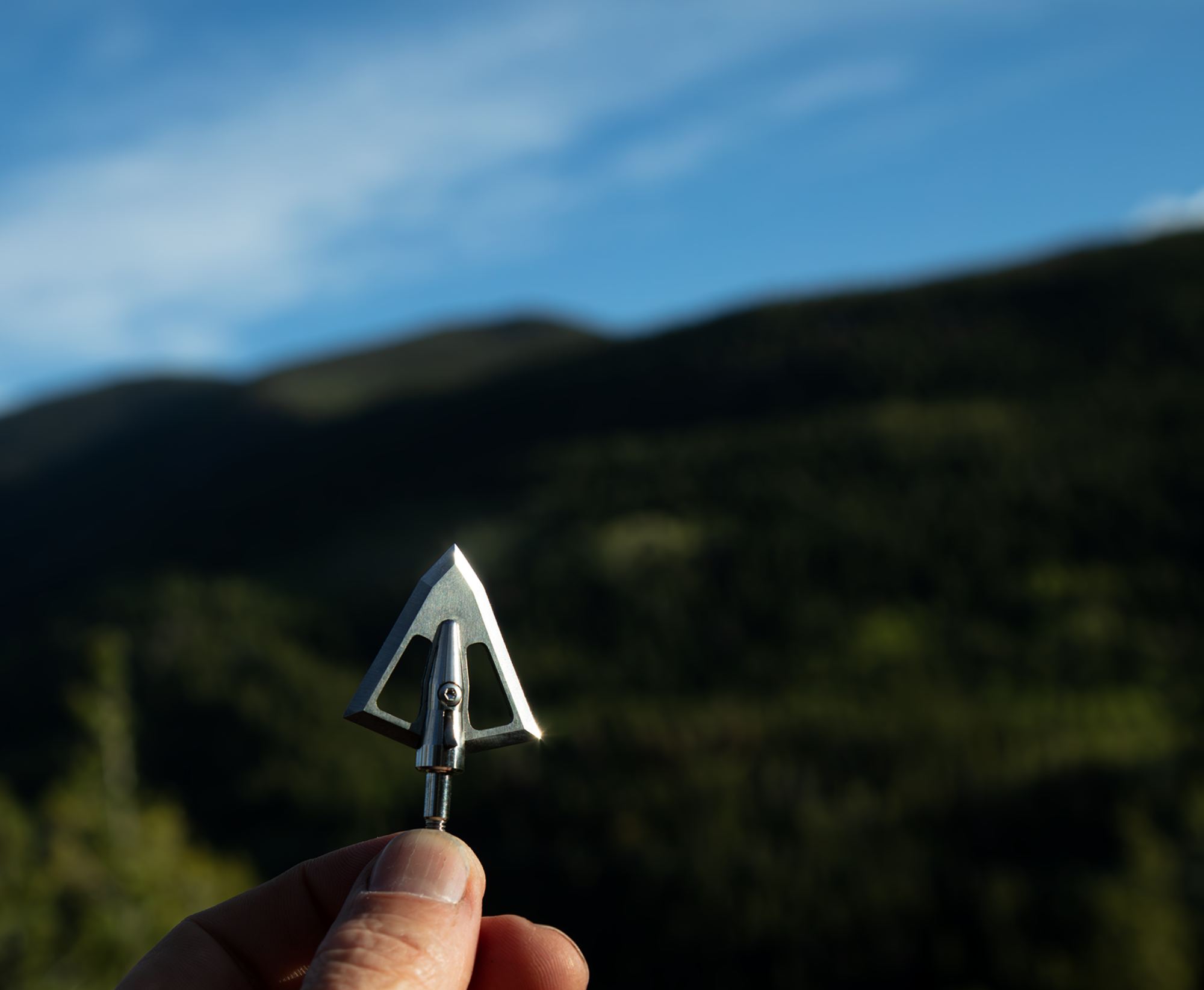 picture of fingers holding a broadhead in front of a tree and mountain scene with sky 