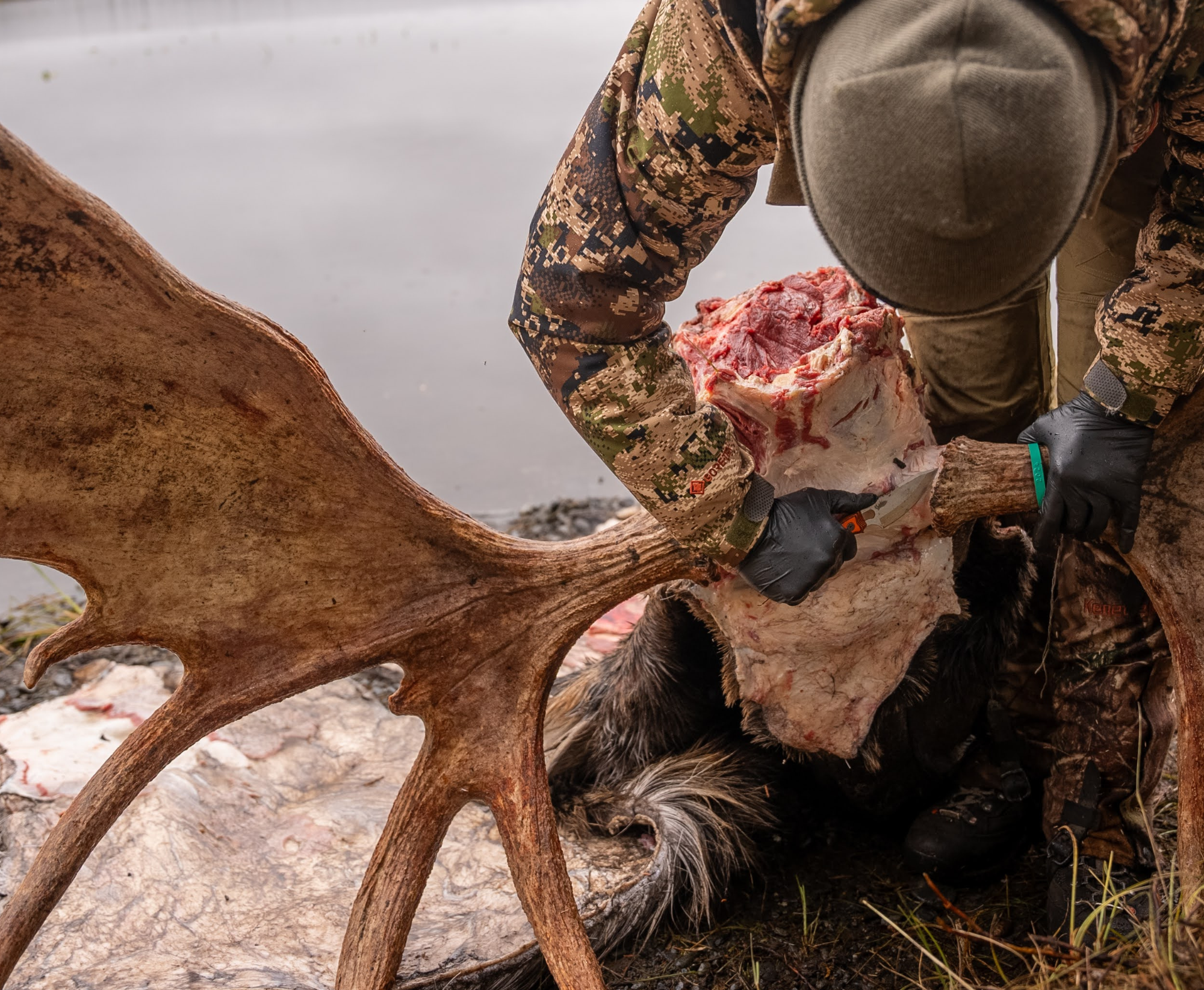 how hunters can skin a head and remove a jaw in the backcountry