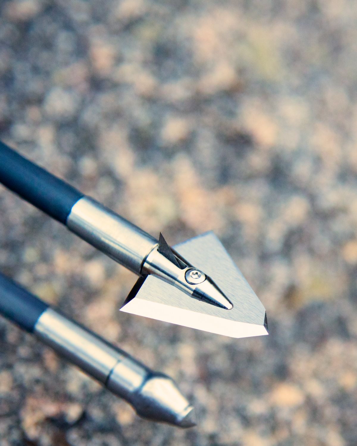 Practice points and field tips for bow hunting