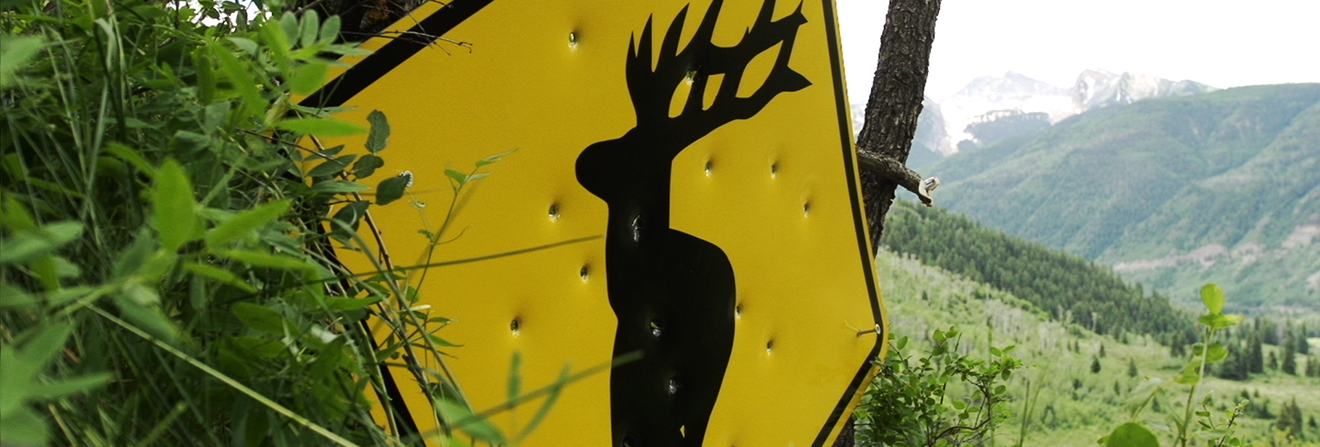 yellow road sign with elk body and holes in it with green mountain background
