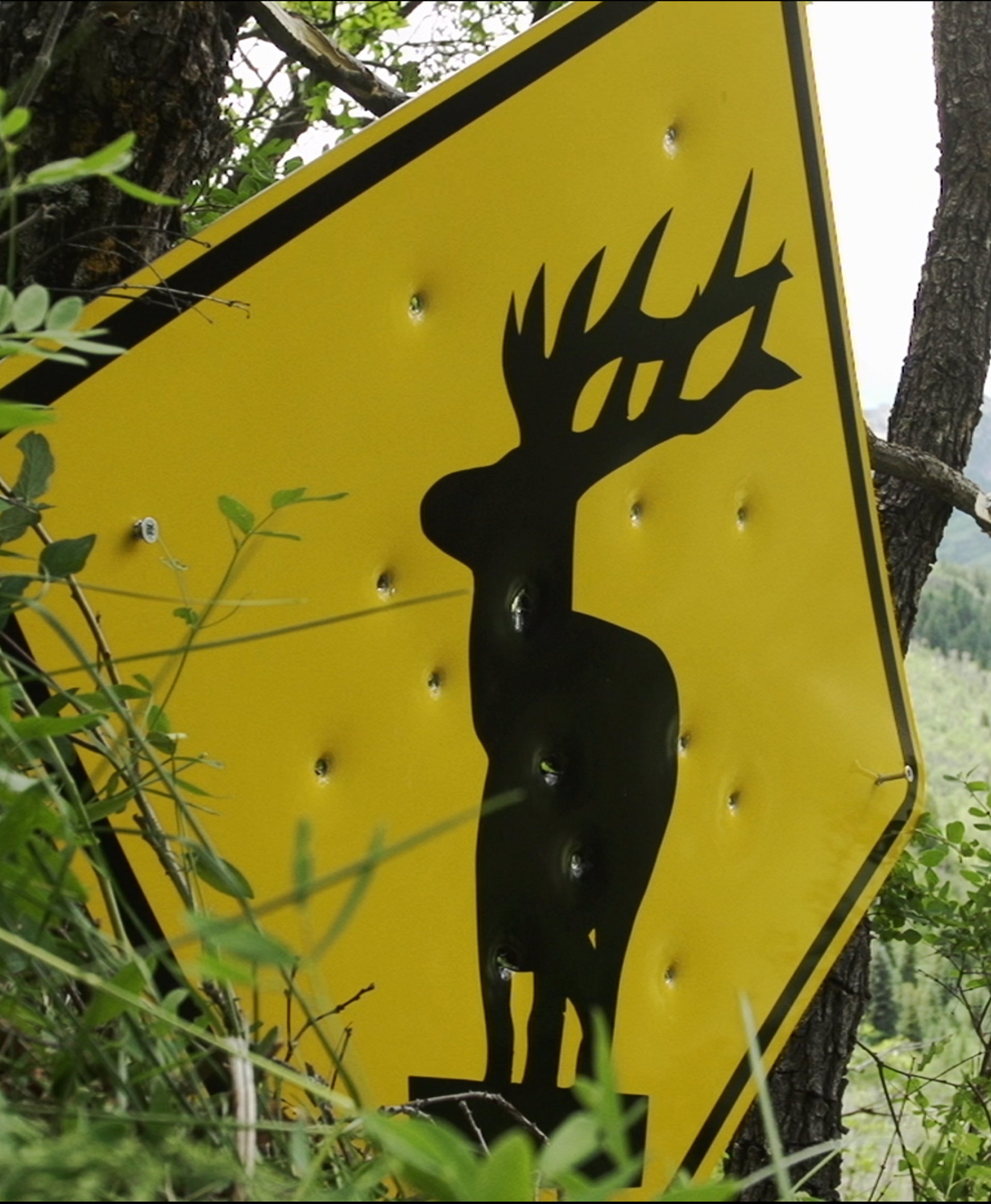 yellow metallic sign with elk silhouette with grass sticking up in front of it