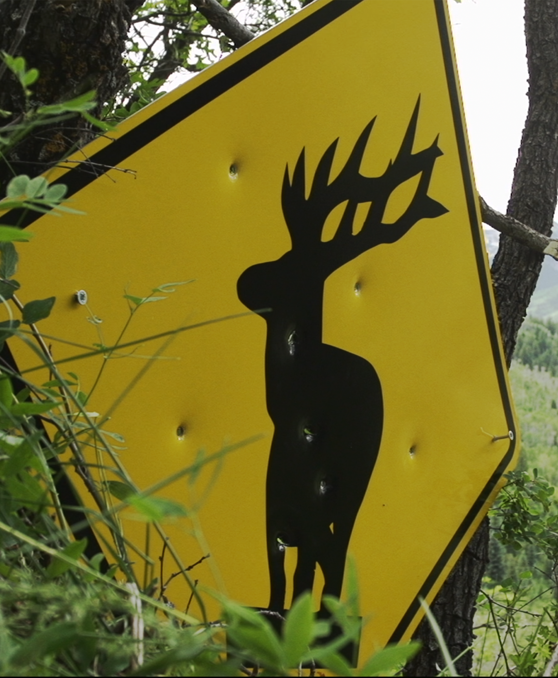 road sign in the forest with elk silhouette