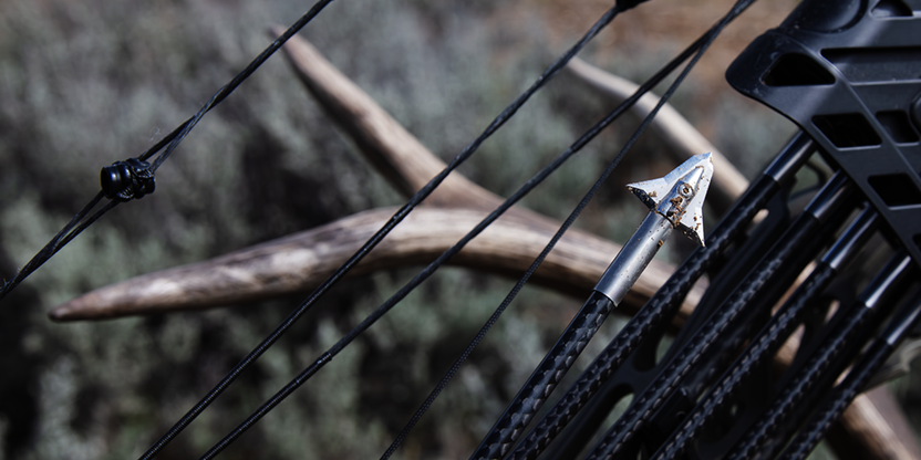 Best Long Range Broadheads - SLR Broadheads | Iron Will Outfitters