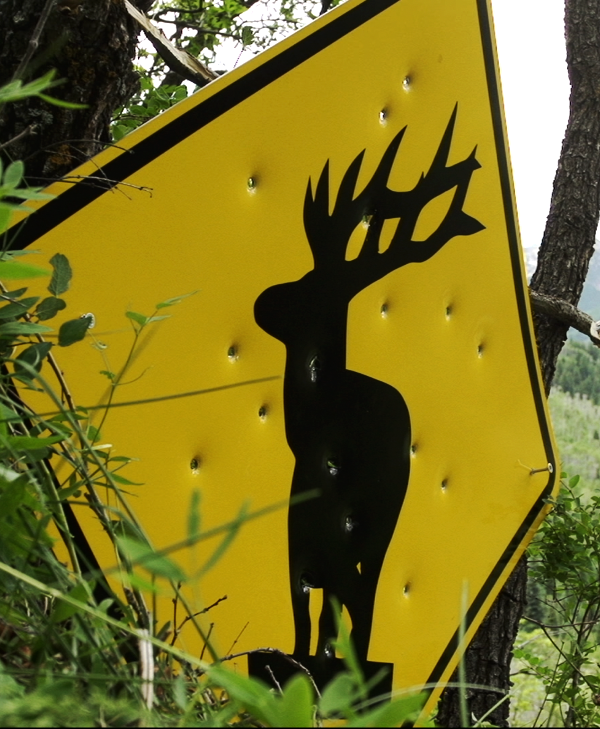 road sign amongst the oaks with yellow paint and black elk silhouette 
