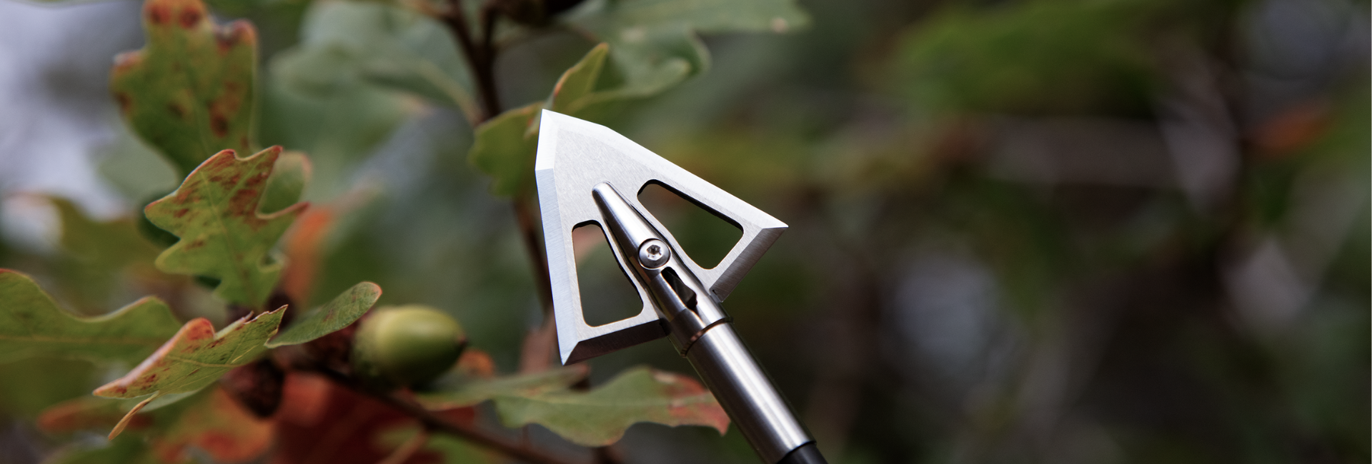 Best Broadheads for Whitetail Deer Iron Will Outfitters