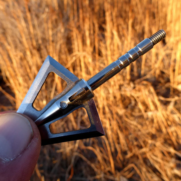 Best Broadheads for Bear Hunting Iron Will Outfitters
